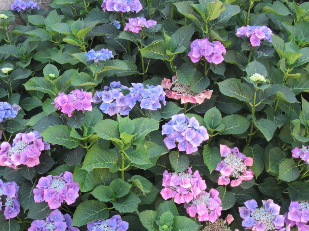 Le Landreau Relais De La Riniere Bed & Breakfast エクステリア 写真